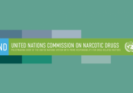 Lietuva pradėjo narystę Jungtinių Tautų Narkotinių medžiagų komisijoje