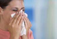 Alergija – užsimaskavusi civilizacijos liga
