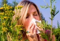 Alerginė sloga ir naujos jos gydymo galimybės