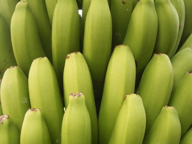 Kas nutinka organizmui, suvalgius daugiau nei 6 bananus
