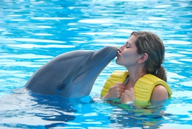 Delfinų terapiją remia mokslininkai ir medikai