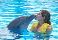 Delfinų terapiją remia mokslininkai ir medikai