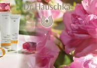 Rožė – vertinga ir gyvybiškai svarbi Dr.Hauschka gaminamos produkcijos sudedamoji dalis