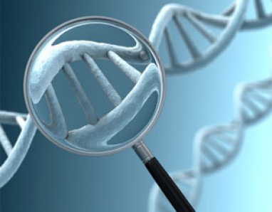 Galimas aštuonetuko tėvas nori DNR testo