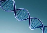 Konfidencialus DNR tėvystės tyrimas – greitai, saugiai, patikimai!