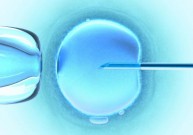 Embriono kamieninių ląstelių studijoms – žalia šviesa