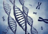 Genų terapija gali pagerinti regėjimą