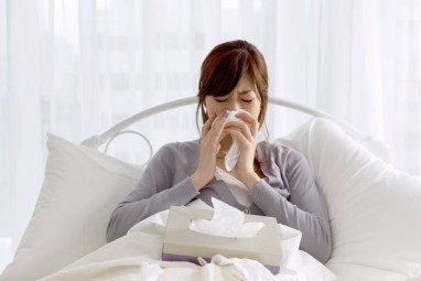 Siaučiant gripui: apie vitaminus, žoleles ir rogių ruošimą vasarą