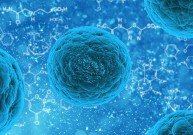 Kokia kamieninių ląstelių reikšmė šiuolaikinėje medicinoje?