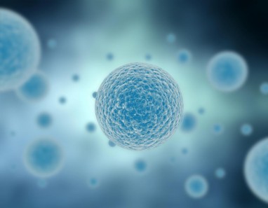 Imuninės ląstelės "apmokomos" naikinti vėžinius auglius