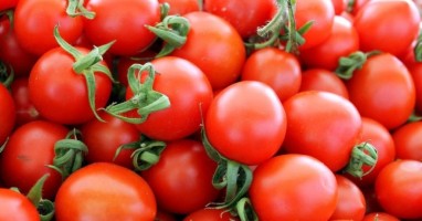 erekcijos pomidoras