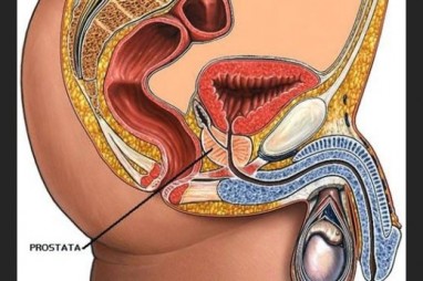 prostatos ir erekcijos vaistai varpos gaminant maistą