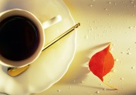 Pistacijų riešutų kava – sveikesnė nei kavos pupelių