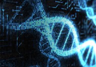 Mokslininkai kuria implantuojamus biokompiuterius