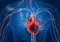 Širdies tyrimas iš dalies padeda užkirsti kelią ligos progresui