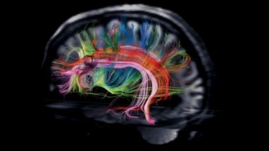 Nauja informacija apie smegenis padeda paralyžiuotiems žmonėms