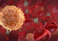 Ar T ląstelių išjungimas gali padėti pažaboti ŽIV?