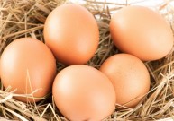 Išvesti gydantys nuo vėžio vištų kiaušiniai