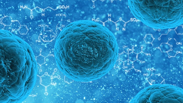 Kamieninės ląstelės: nepagydomų ligų mažėja | martynofondas.lt
