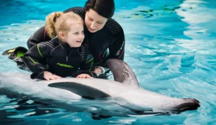 Delfinų terapiją remia mokslininkai ir medikai