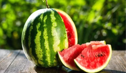 Didelė pūvančių arbūzų siunta sulaikyta Medininkų pasienio veterinarijos poste