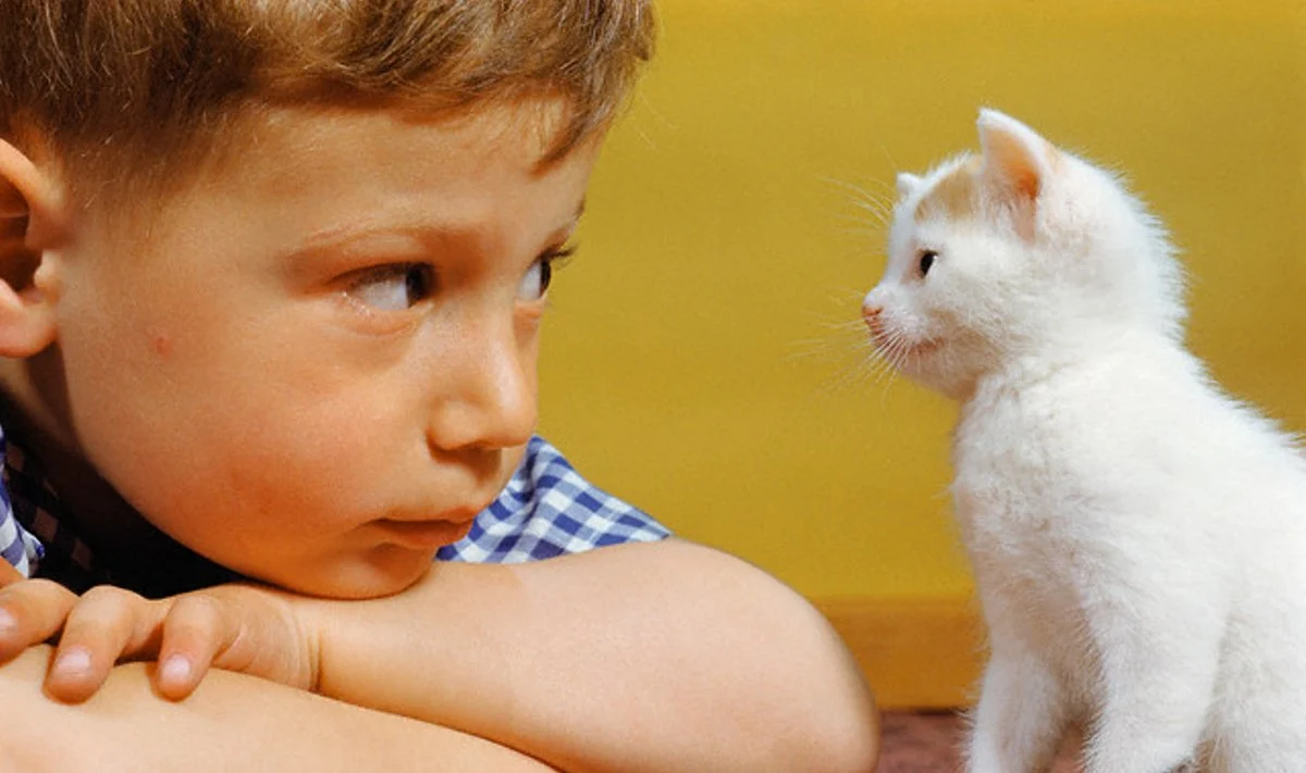 Katės ir šunys saugo vaikus nuo alergijos