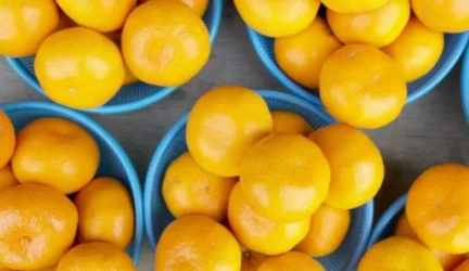 Uždrausta realizuoti 24,375 t apelsinų siuntą