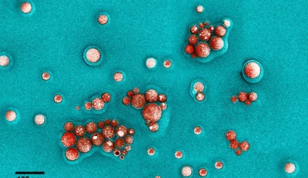 Nanodalelės padės organizme pristatyti vaistus