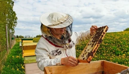 Bičių darbymetis nepraėjo veltui