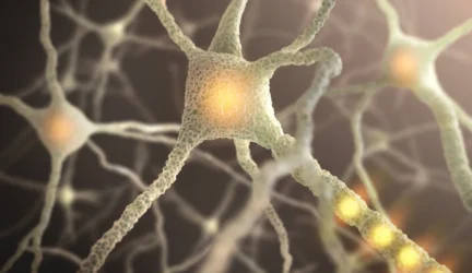 Mokslininkai mėgina suprasti, kaip tarpusavy bendrauja smegenų ląstelės