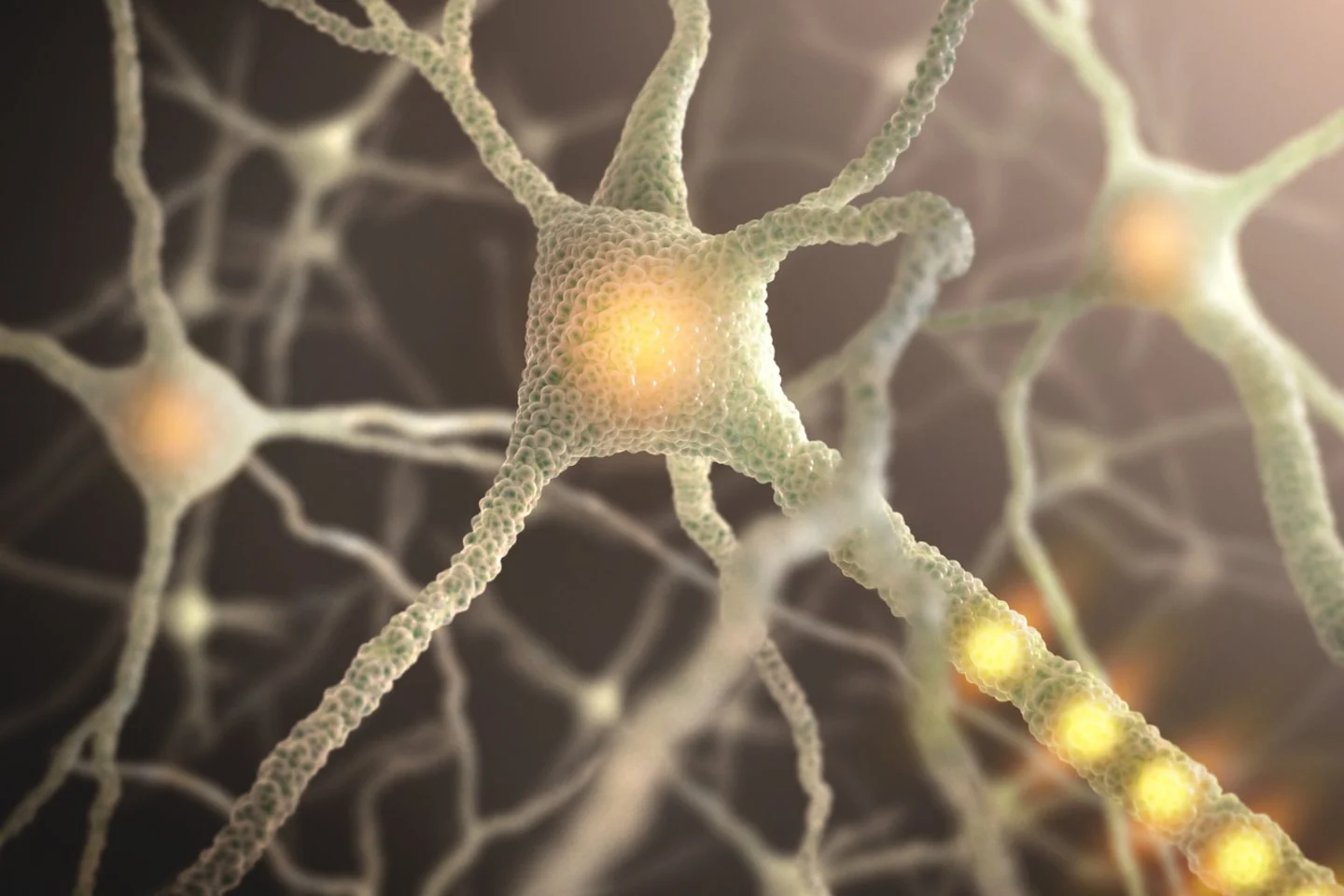 Mokslininkai mėgina suprasti, kaip tarpusavy bendrauja smegenų ląstelės