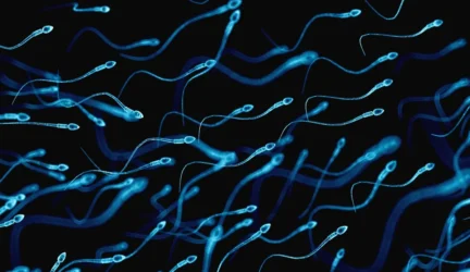 Spermatozoidai gali „jausti” kryptį, sako mokslininkai