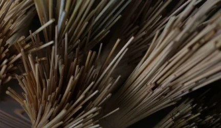 Protą temdantys siaubai