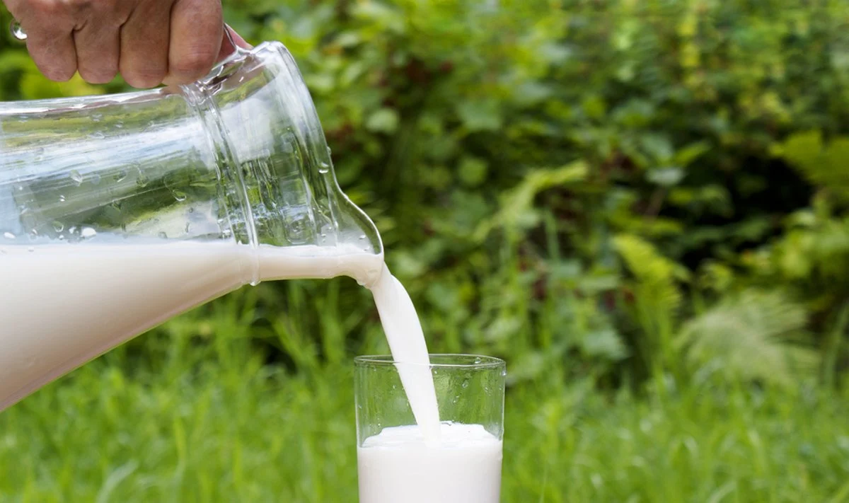 Už pieno mėginių falsifikavimą nubaustas pieno kooperatyvas „Roinga”