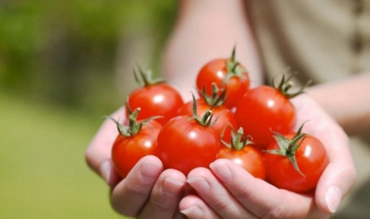 Vaisiai ir daržovės mažina pavojų susirgti vėžiu
