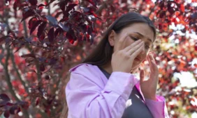 Įsibėgėja šienligės sezonas