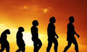 Adomo prakeikimas: vyrai – evoliucijos akligatvyje