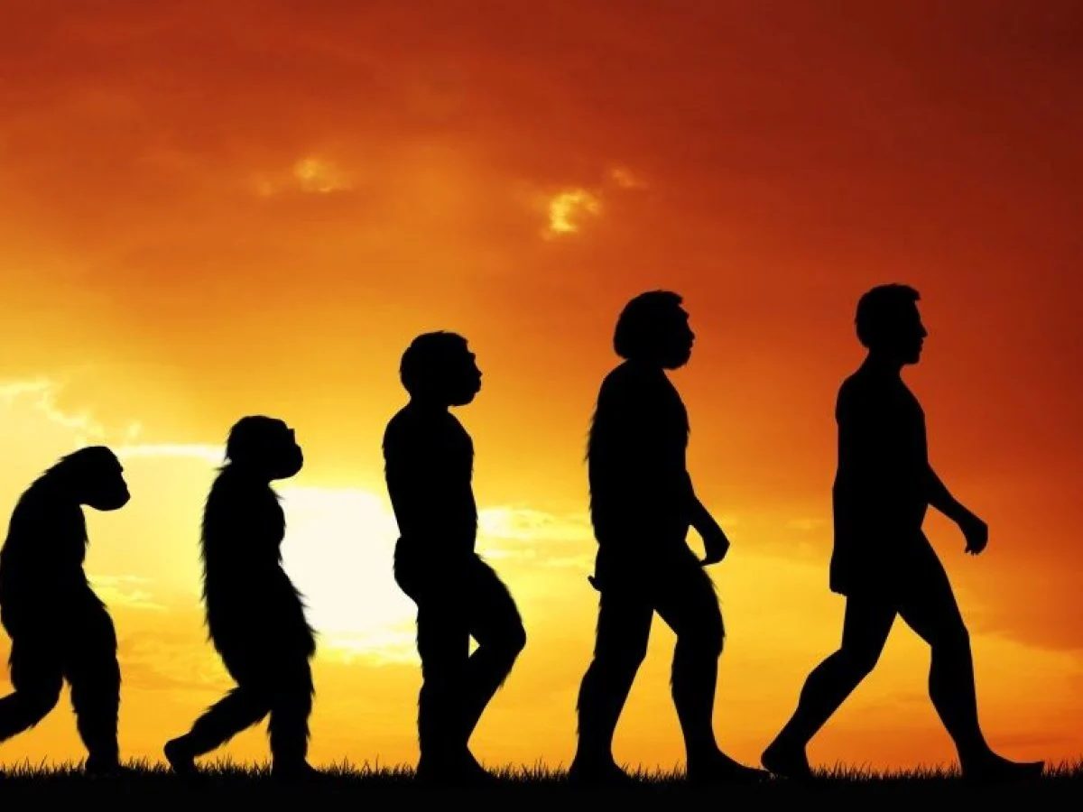 Adomo prakeikimas: vyrai – evoliucijos akligatvyje