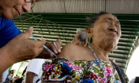 Kiaulių gripo aukų Meksikoje daugėja