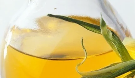 Patikslintas maisto produktų su GMO sąrašas