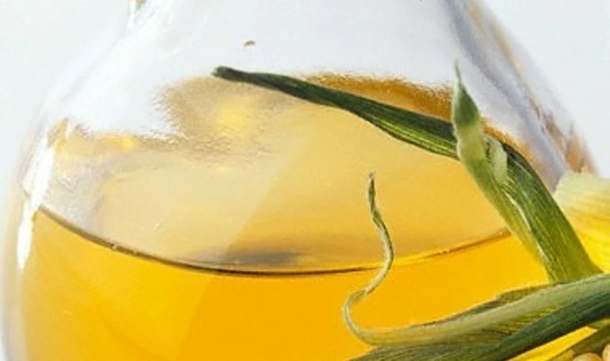Patikslintas maisto produktų su GMO sąrašas