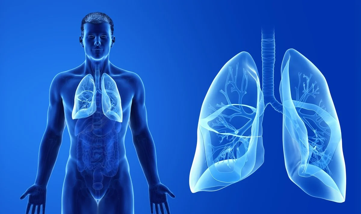 Plaučius pavyko išmokyti kvėpuoti be žmogaus