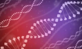 Vyriškieji genai – prie išnykimo ribos