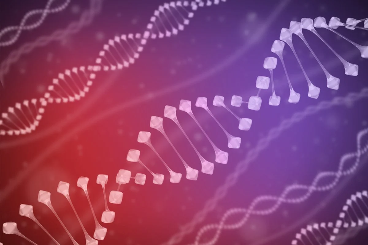 Vyriškieji genai – prie išnykimo ribos