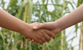 Pusę draugų pakeičiame kas septynerius metus