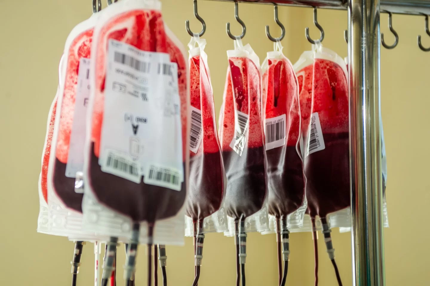 Rotušės aikštėje – kraujo donorų akcija