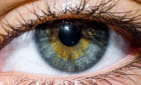 Dovanota ragena sugrąžino šviesą ir laisvę