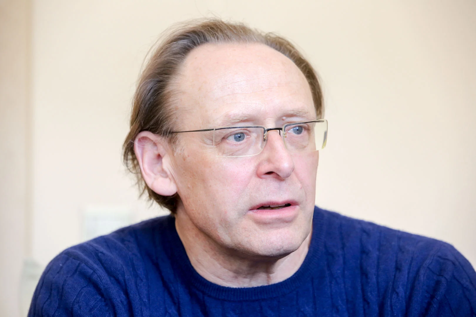 R.Alekna: poatostoginę nuotaikų kaitą skatina skubėjimas