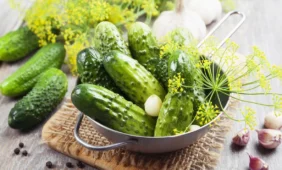 Agurkai tirpdo akmenis