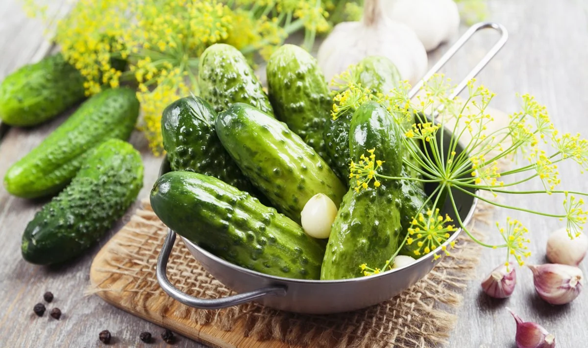 Agurkai tirpdo akmenis